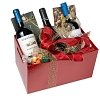 Mocannella Surprise Gift Box